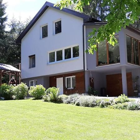 Villa-Apartments Bognar Velika Exteriör bild